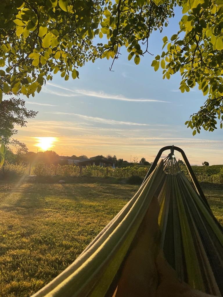 93e2161f 7bff 46de b32f 40a4b1b4af14