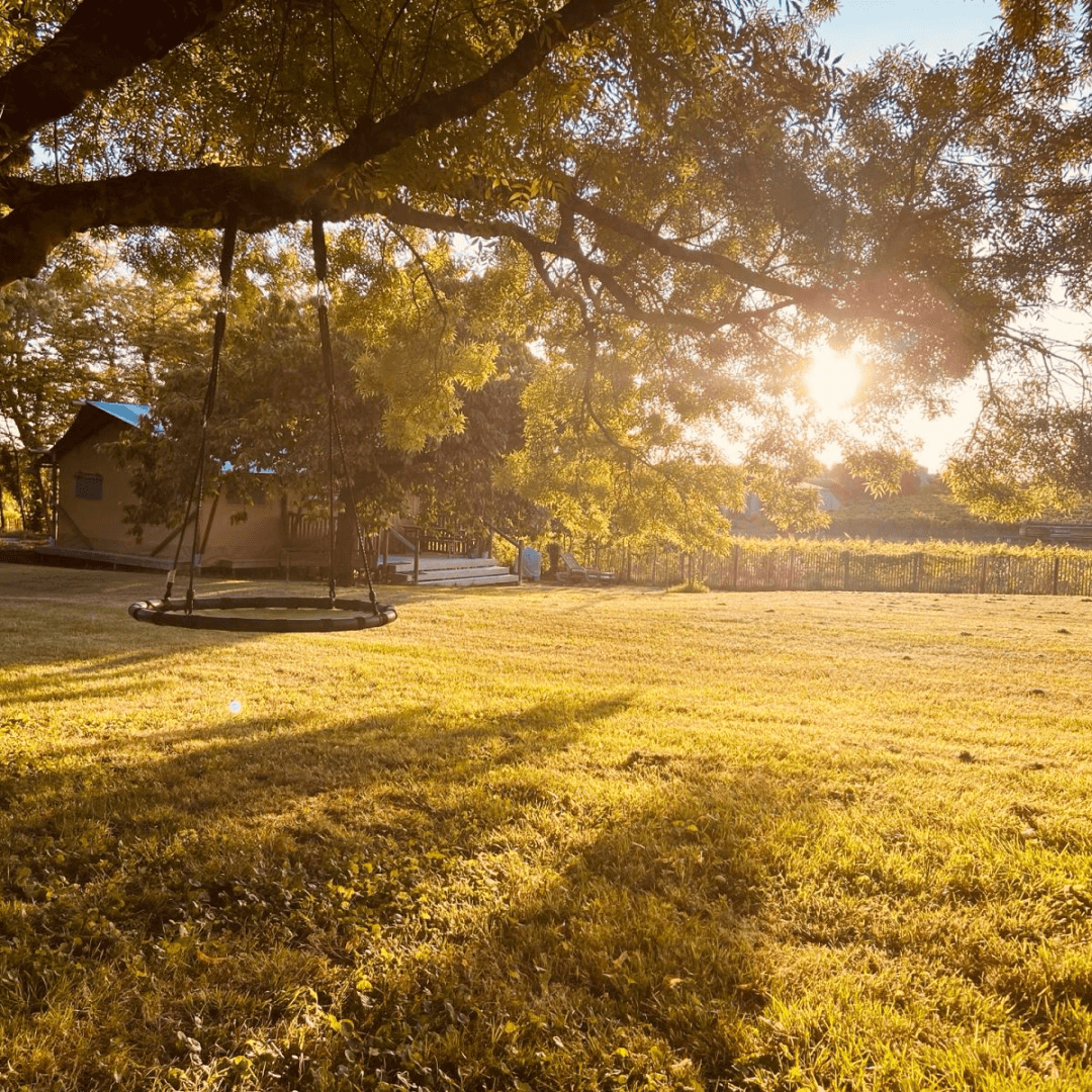 balancoire dans le parc